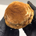 Tiramisu Cookie
